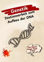 Vorschau - Stationenlernen - Stationen mit Anwendungsaufgaben zum Aufbau der DNA mit Lösungen - Deckblatt