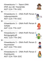 Vorschau - Stationenlernen - Stationen mit Anwendungsaufgaben zum Aufbau der DNA mit Lösungen - Seite 3