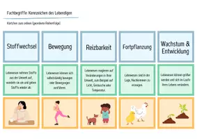 Vorschau - Spiele - Kennzeichen des Lebendigen - Legekarten, Domino & Tabelle - Seite 1
