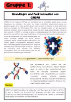 Vorschau - Arbeitsblätter - Gentechnik Gruppenarbeit Unterricht: CRISPR, Nutzpflanzen, Medizin, Ethik - Seite 1