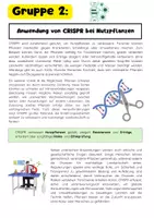 Vorschau - Arbeitsblätter - Gentechnik Gruppenarbeit Unterricht: CRISPR, Nutzpflanzen, Medizin, Ethik - Seite 3