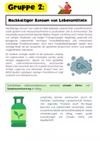 Vorschau - Arbeitsblätter - Nachhaltiger Konsum: Fashion, Möbilität und Konsum - Seite 3