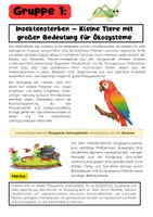 Vorschau - Arbeitsblätter - Artensterben Gruppenarbeit: Biodiversität, Insektensterben, Vogelsterben & Korallenriffe - Seite 1