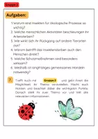 Vorschau - Arbeitsblätter - Artensterben Gruppenarbeit: Biodiversität, Insektensterben, Vogelsterben & Korallenriffe - Seite 2