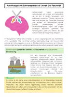 Vorschau - Arbeitsblätter - Schwermetalle: Umwelt& Gesundheit – Chemieunterricht - Seite 2