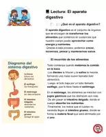 Vista previa - Hojas de trabajo - Sistema Digestivo Lectura y Actividades Imprimibles - página 1
