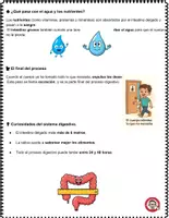 Vista previa - Hojas de trabajo - Sistema Digestivo Lectura y Actividades Imprimibles - página 2
