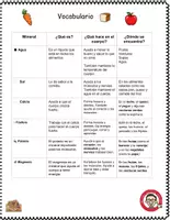 Vista previa - Hojas de trabajo - Minerales en la comida Activitidades vocabulario guia quiz examen - página 1