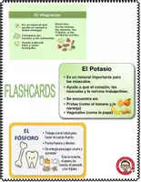 Vista previa - Hojas de trabajo - Minerales en la comida Activitidades vocabulario guia quiz examen - página 3