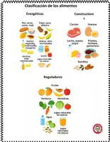 Vista previa - Hojas de trabajo - Los Alimentos Actividades Imprimibles para Primaria - página 3