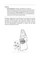 Vorschau - Stundenentwürfe - HSU - Heilpflanzenbüchlein + Tee selber mischen (Natur aktiv!) - Seite 3