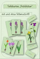 Vorschau - Präsentationen/Tafelbilder - Tafelkarten Frühblüher - Deckblatt