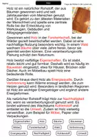 Vorschau - Arbeitsblätter - Holz | Lückentext | Erdkunde | Rohstoffe | Wald - Seite 2