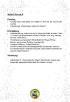 Vorschau - Stundenentwürfe - Vögel im Winter Unterrichtseinheit Klasse 2 3 - Seite 3
