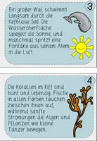 Vorschau - Aufgabenkarten - Ozean Abschreibkartei Klasse 1 - Seite 3