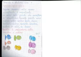anteprima - Piani di lezione - quaderni di geografia scuola primaria - Pagina 1