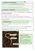 Vorschau - Spiele - LERNTHEKE: RINGELWÜRMER (Regenwürmer) - Seite 3