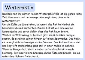 Vorschau - Anderer Materialtyp - Tiere im Winter - Wissenskartei Reh - Seite 3