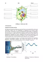 Vorschau - Prüfungsvorbereitung - Klausur Zellbiologie EF - Seite 2
