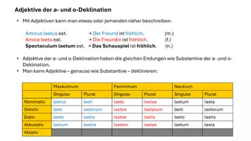 Vorschau - Arbeitsblätter - Lateinische Adjektive der o- und a-Deklination (Einführung und Übungen) - Seite 3