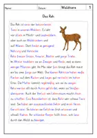 Vorschau - Arbeitsblätter - Lesen: Waldtiere - Leseverstehen - Seite 2