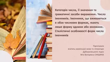 Попередній перегляд - Категорія числа, її значення та граматичні засоби вираження. Число іменників. Стилістичні особливості форм числа іменників - Обкладинка