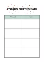 Vorschau - Arbeitsblätter - Pflanzen- und Tierzelle vergleichen - Seite 1