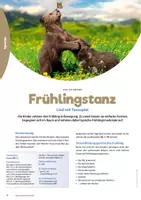 Vorschau - Stundenentwürfe - Frühlingstanz - Lied mit Tanzspiel - Seite 1