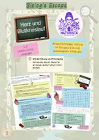 Vorschau - Arbeitsblätter - Escape Herz und Blutkreislauf mit Infotext (5. Klasse) - Deckblatt