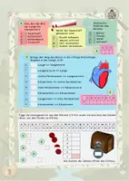 Vorschau - Arbeitsblätter - Escape Herz und Blutkreislauf mit Infotext (5. Klasse) - Seite 3