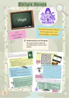 Vorschau - Spiele - Escape Vögel mit Infotext (6. Klasse) - Deckblatt