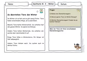 Vorschau - Arbeitsblätter - Tiere im Winter Materialpaket – Klasse 2–4 Winterschlaf, Winterruhe & Winterstarre - Seite 1