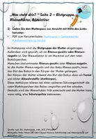 Vorschau - Arbeitsblätter - Mutterpass: Begleiter durch die Schwangerschaft - Seite 2