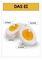 Vorschau - Präsentationen/Tafelbilder - Das Huhn Tafelmaterial | Das Ei | Die Henne - Seite 3