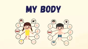 Vorschau - Arbeitsblätter - Body Parts - Materialpaket - Seite 1