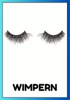 Vorschau - Poster - Das Auge - Bildkarten - Seite 2
