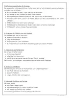 Vorschau - Mal- und Bastelvorlagen - Fensterbilder | Ausmalbilder - Schmetterlinge im Frühling - Seite 3