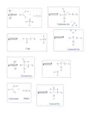 Vorschau - Arbeitsblätter - Ester - Experiment zur Veresterung und Reaktionsmechanismus - Seite 2