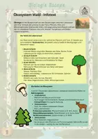 Vorschau - Arbeitsblätter - Escape Ökosystem Wald mit Infotext (6. Klasse) - Seite 1