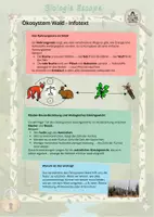 Vorschau - Arbeitsblätter - Escape Ökosystem Wald mit Infotext (6. Klasse) - Seite 2