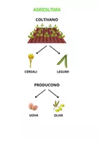 anteprima - Esercizi - I CRETESI - mappa in CAA - Pagina 2