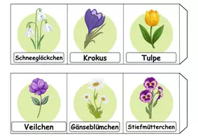 Vorschau - Unterrichtsreihen - Materialpaket - Erstleser - Frühblüher - DaZ/DaF / Deutsch / Sachunterricht - Seite 2