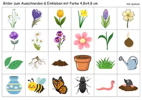 Vorschau - Mal- und Bastelvorlagen - Vokabelbilder Frühblüher - Bilder zum ausschneiden (Klasse 1 und 2) - Seite 1