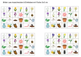 Vorschau - Mal- und Bastelvorlagen - Vokabelbilder Frühblüher - Bilder zum ausschneiden (Klasse 1 und 2) - Seite 2