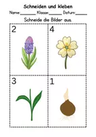 Vorschau - Mal- und Bastelvorlagen - Ausschneiden und kleben Frühblüher - Wortschatz basteln Feinmotorik (Grundschule) - Seite 3