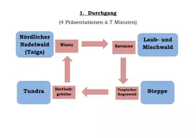 Vorschau - Unterrichtsreihen - Vegetationszonen der Erde - Gruppenpuzzle mit Übersicht l Erdkunde Klasse 7-8 - Seite 2