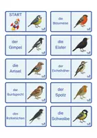 Vorschau - Spiele - Domino Vögel im Garten, 3-fach differenziert - Seite 1