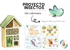 Vista previa - Unidades / Secuencias / Situaciones de Aprendizaje - Libro informativo proyecto insectos - Portada