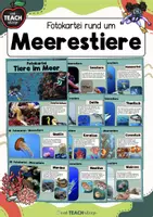 Vorschau - Stationenlernen - Meerestiere / Tiere im Meer - Fotokartei - Deckblatt