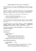 anteprima - Programmi scolastici / Materiali per docenti - LABORATORIO DI LETTURA CON IL CAVIARDAGE - Pagina 1